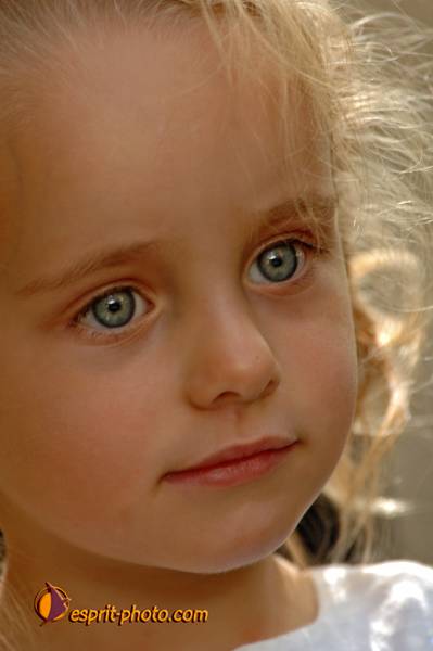 Nom de l'image : D2184327_1 — Description :