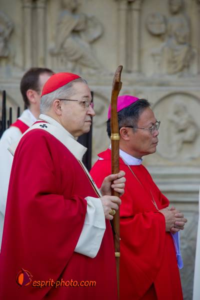 Nom de l'image : 078-D3s000862a-(c)www.Norbert-Jung.com — Description :