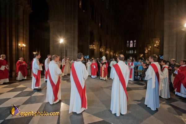 Nom de l'image : 100-D30108721a-(c)www.Norbert-Jung.com — Description :