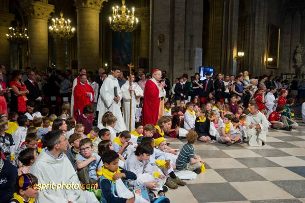 Nom de l'image : 118-D3s000990a-(c)www.Norbert-Jung.com — Description :