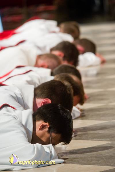 Nom de l'image : 126-D3s001016a-(c)www.Norbert-Jung.com — Description :