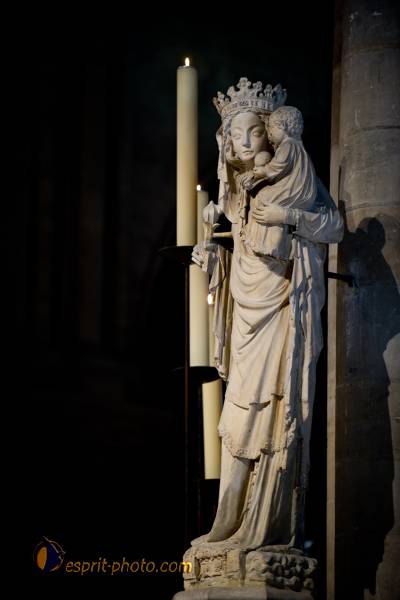 Nom de l'image : 131-D3s001028a-(c)www.Norbert-Jung.com — Description :