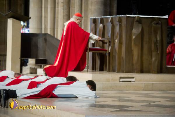 Nom de l'image : 132-D3s001035a-(c)www.Norbert-Jung.com — Description :