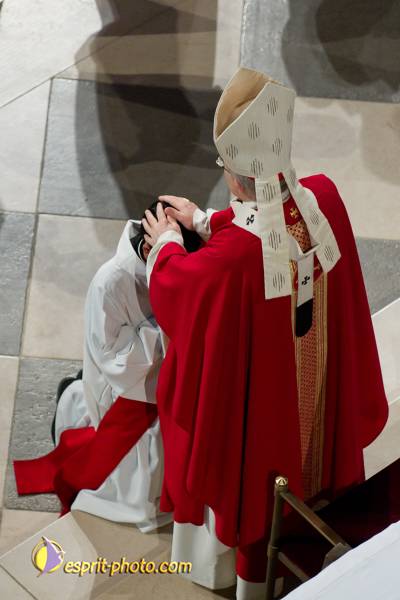 Nom de l'image : 135-D3s001039a-(c)www.Norbert-Jung.com — Description :