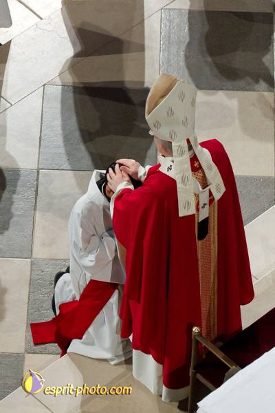 Nom de l'image : 137-D3s001040a-(c)www.Norbert-Jung.com — Description :