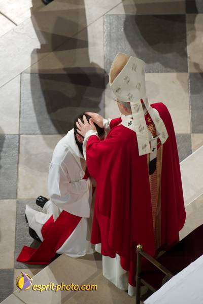 Nom de l'image : 141-D3s001044a-(c)www.Norbert-Jung.com — Description :