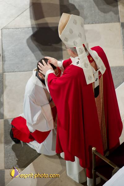 Nom de l'image : 149-D3s001051a-(c)www.Norbert-Jung.com — Description :