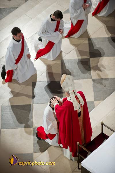 Nom de l'image : 150-D3s001052a-(c)www.Norbert-Jung.com — Description :