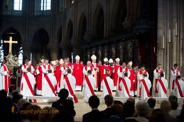 Nom de l'image : 171-D3s001169a-(c)www.Norbert-Jung.com — Description :