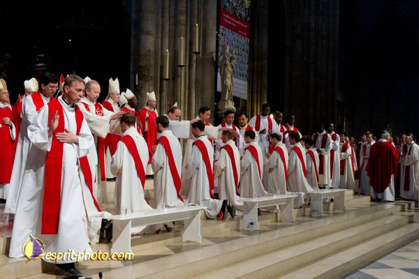 Nom de l'image : 183-D3s001253a-(c)www.Norbert-Jung.com — Description :