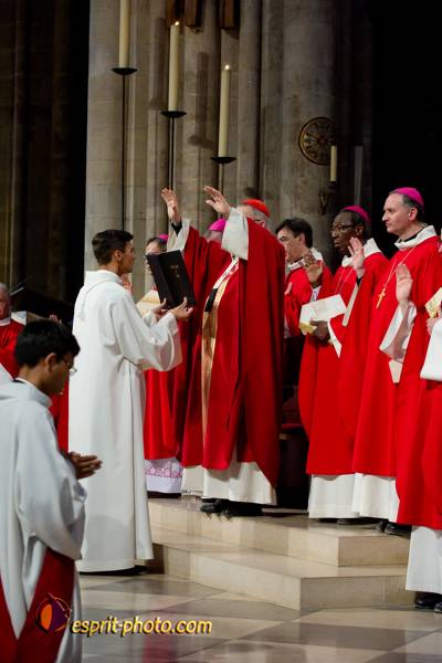 Nom de l'image : 184-D3s001259a-(c)www.Norbert-Jung.com — Description :