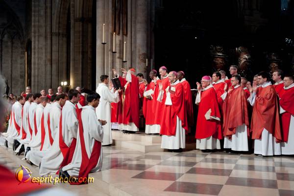 Nom de l'image : 185-D30108797a-(c)www.Norbert-Jung.com — Description :