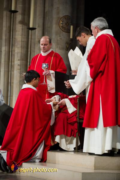 Nom de l'image : 190-D3s001299a-(c)www.Norbert-Jung.com — Description :