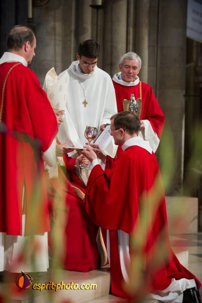 Nom de l'image : 195-D3s001311a-(c)www.Norbert-Jung.com — Description :