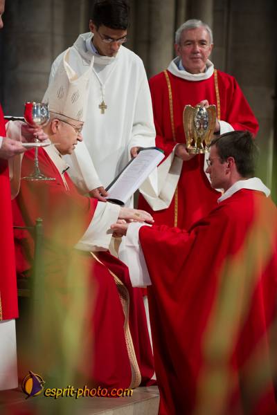 Nom de l'image : 197-D3s001321a-(c)www.Norbert-Jung.com — Description :