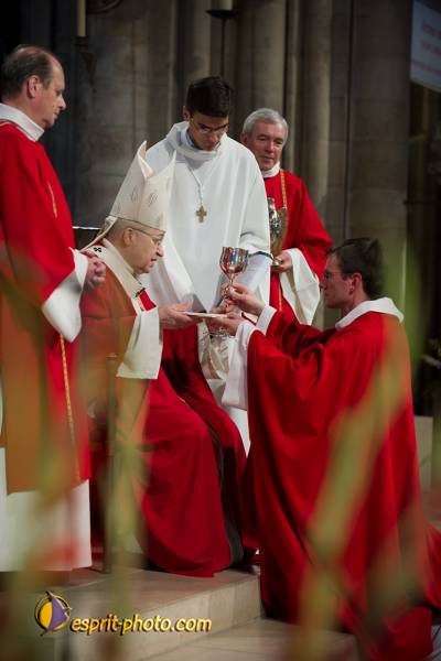 Nom de l'image : 199-D3s001326a-(c)www.Norbert-Jung.com — Description :