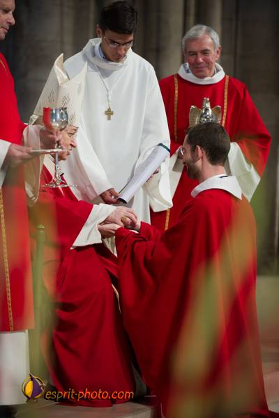 Nom de l'image : 201-D3s001332a-(c)www.Norbert-Jung.com — Description :