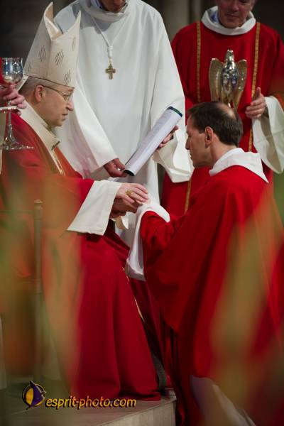 Nom de l'image : 206-D3s001346a-(c)www.Norbert-Jung.com — Description :