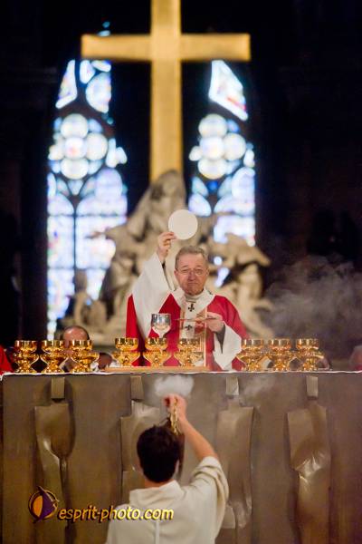 Nom de l'image : 226-D3s001454a-(c)www.Norbert-Jung.com — Description :