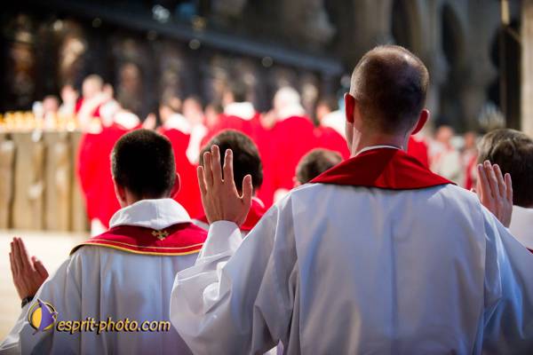 Nom de l'image : 229-D3s001463a-(c)www.Norbert-Jung.com — Description :