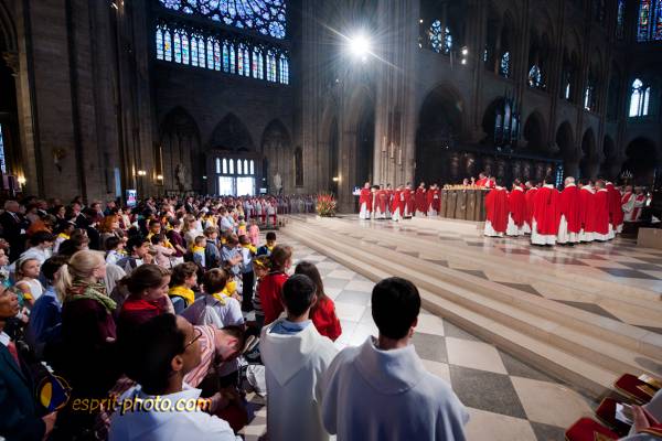 Nom de l'image : 230-D30108820a-(c)www.Norbert-Jung.com — Description :