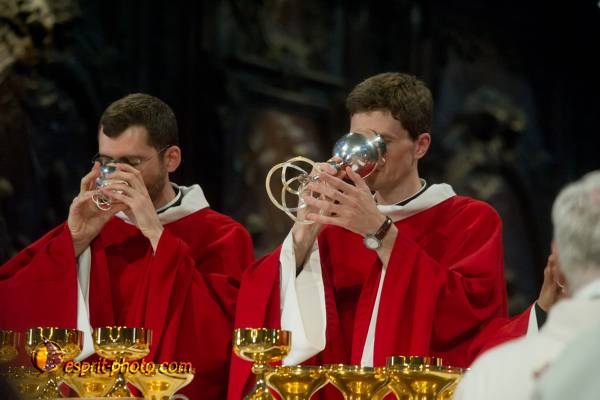 Nom de l'image : 239-D3s001510a-(c)www.Norbert-Jung.com — Description :