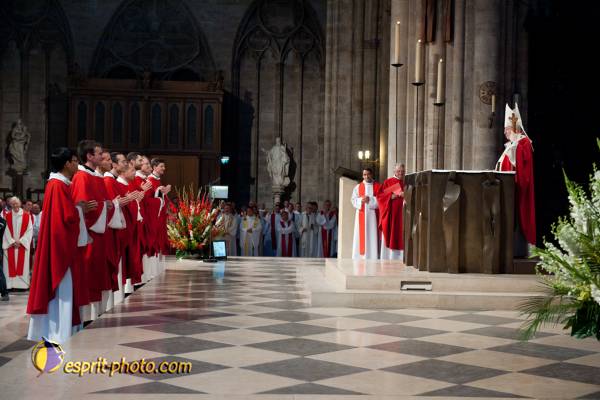 Nom de l'image : 258-D30108845a-(c)www.Norbert-Jung.com — Description :