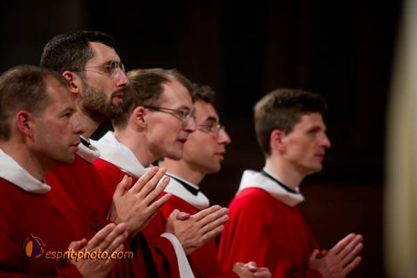 Nom de l'image : 262-D3s001594a-(c)www.Norbert-Jung.com — Description :