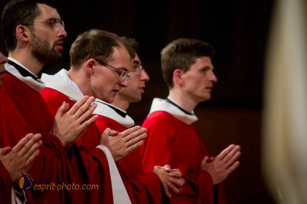 Nom de l'image : 263-D3s001595a-(c)www.Norbert-Jung.com — Description :