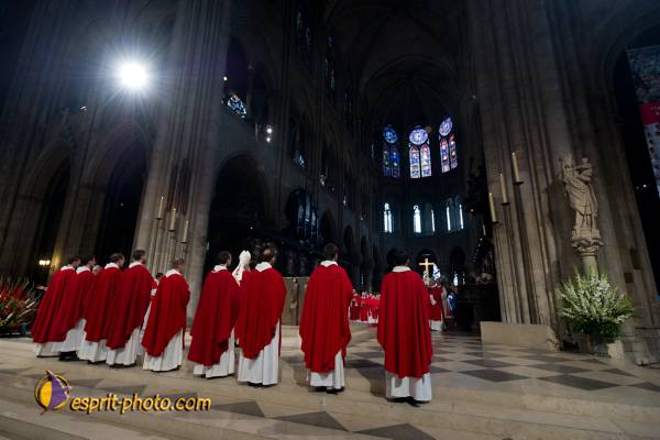 Nom de l'image : 264-D3s001604a-(c)www.Norbert-Jung.com — Description :