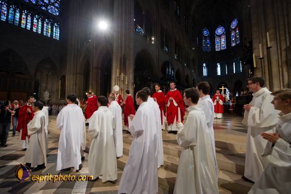 Nom de l'image : 266-D3s001614a-(c)www.Norbert-Jung.com — Description :