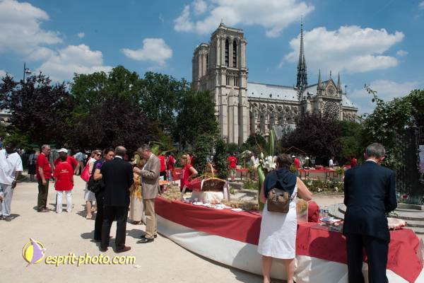 Nom de l'image : 303-D30108973a-(c)www.Norbert-Jung.com — Description :