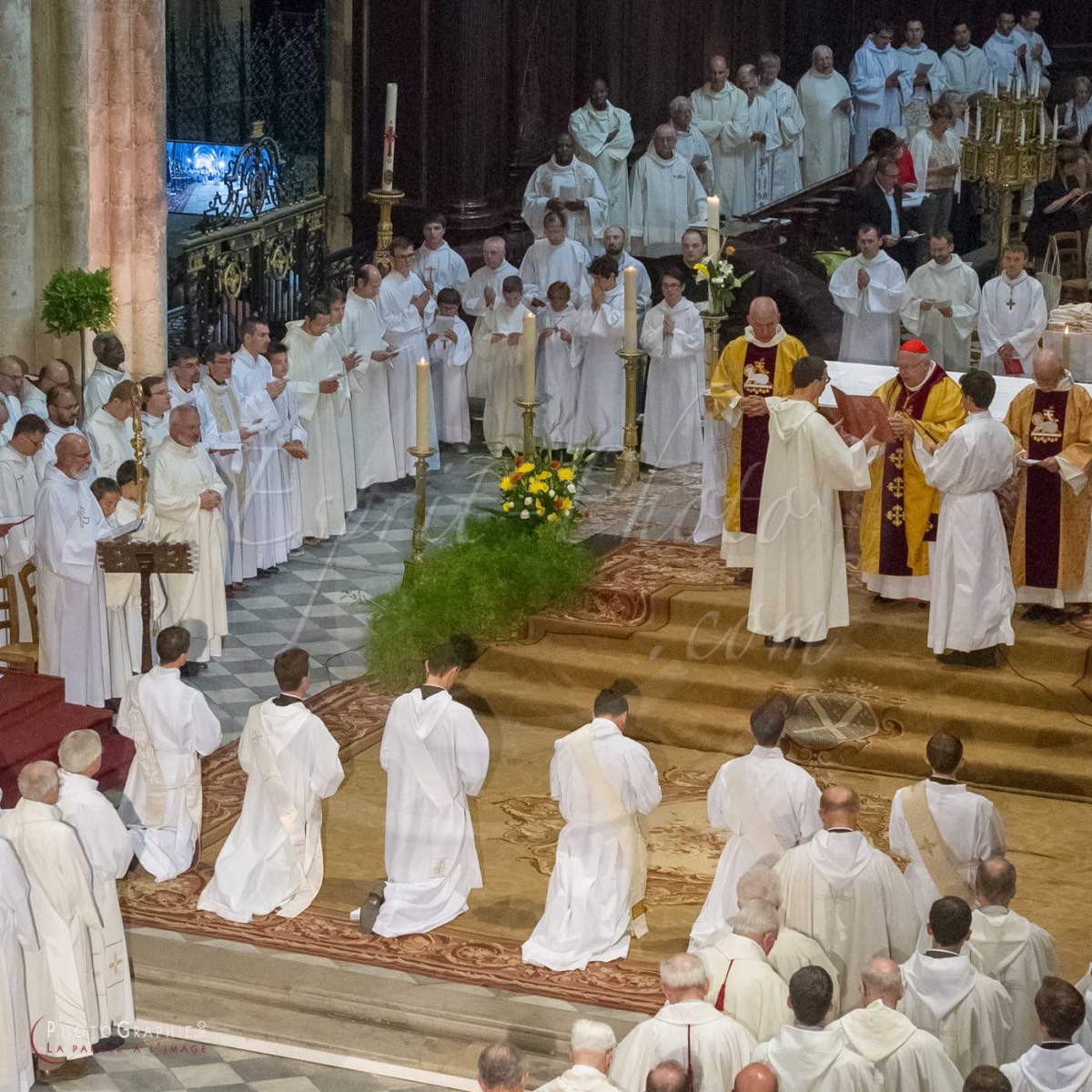 Nom de l'image : 180624-170940_D3s150064_c_PhotoGraphie.Pro — Description :  D3s150064