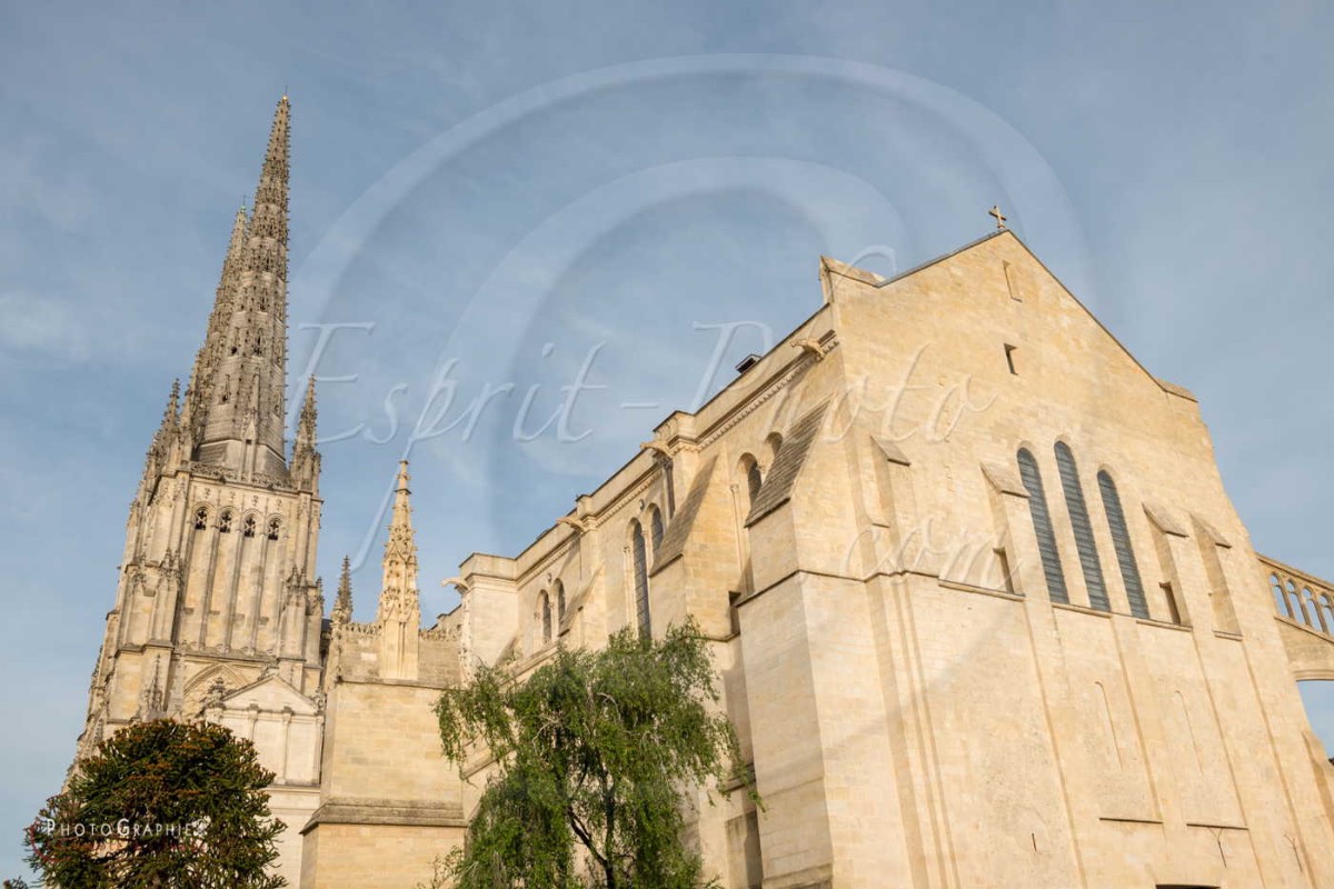 Nom de l'image : 180624-195518_D8e140254_c_PhotoGraphie.Pro — Description :  D8e140254