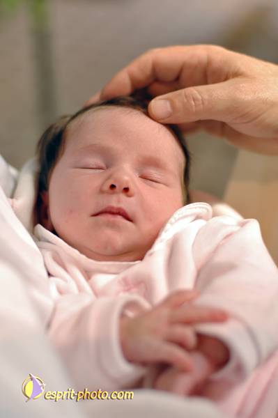 Nom de l'image : D2226138_1 — Description :