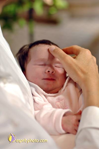 Nom de l'image : D2226153_1 — Description :