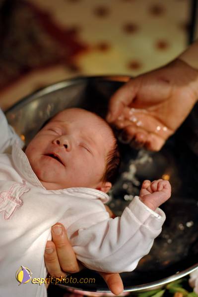 Nom de l'image : D2226394_1 — Description :