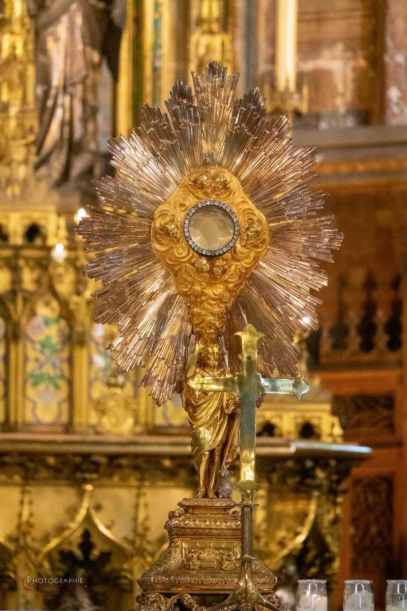 Nom de l'image : S1147597 — Description :