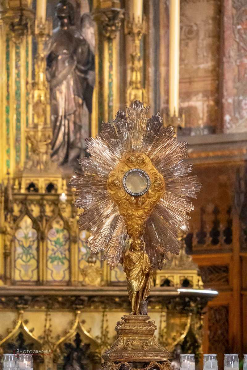 Nom de l'image : S1147609 — Description :