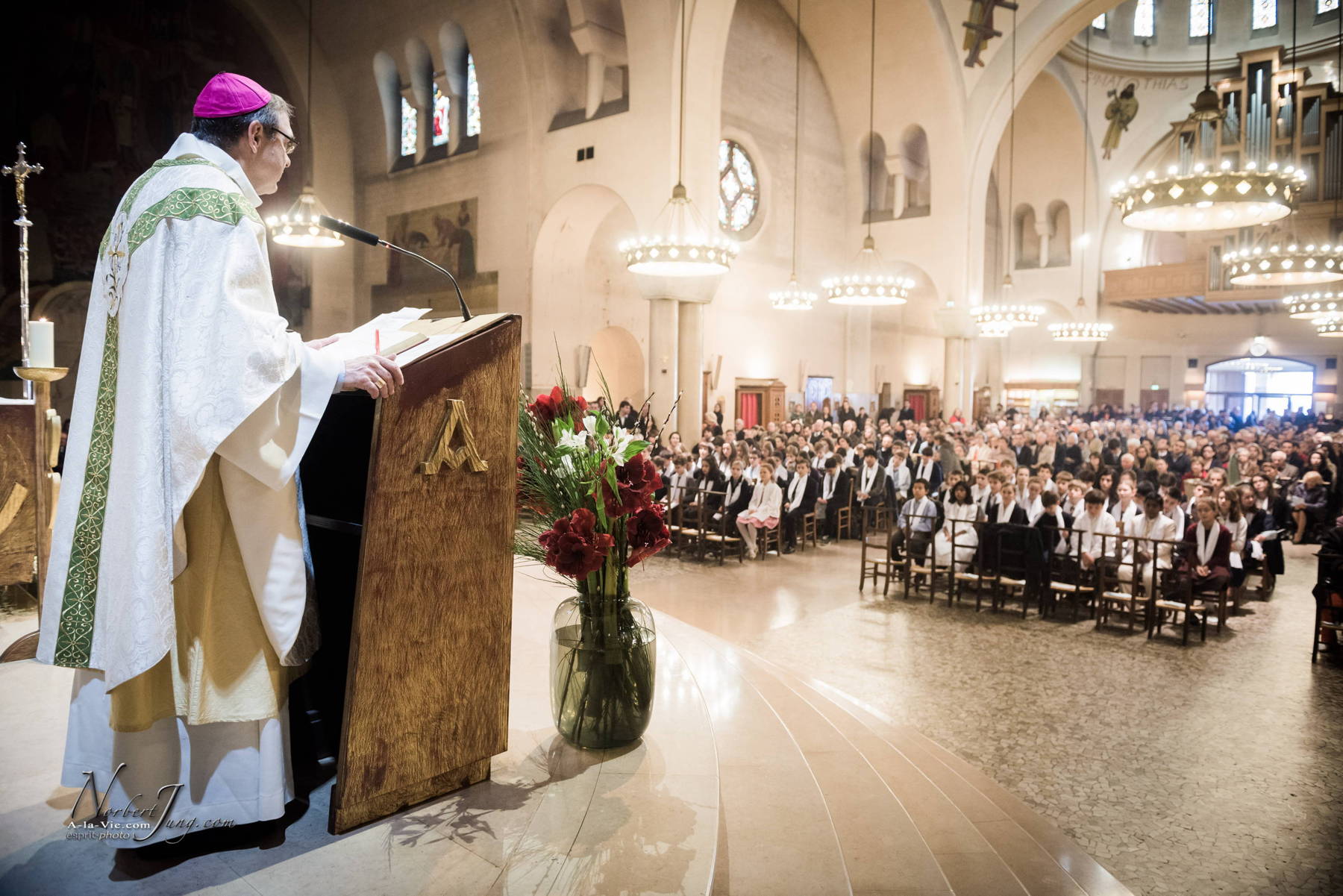 Nom de l'image : 036-D8e011299-www.Photographie.Pro — Description :