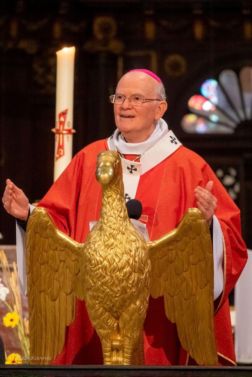 Nom de l'image : 049-210523-164240_S1146991_c_Satisfecit-Editions.fr — Description :