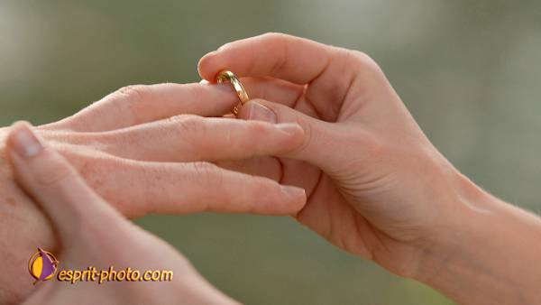 Nom de l'image : 051016-1151_A049 — Description :