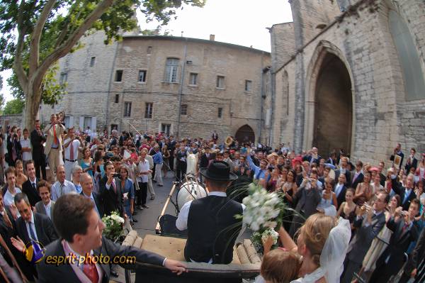 Nom de l'image : 060819-1838_05MSO_025 — Description :