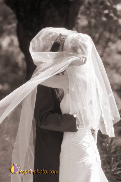 Nom de l'image : 060819-1432_06PAR_044sp — Description :