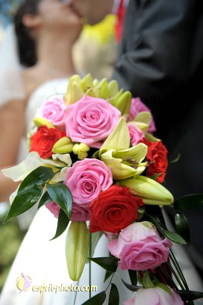 Nom de l'image : 090725-1027_D30063768 — Description :  Mariage Louis et Romana PLUYETTE - 25 juillet 2009