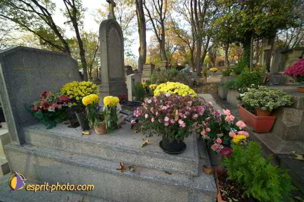 Nom de l'image : D1192G014-1 — Description :  Cimetière Père Lachaise