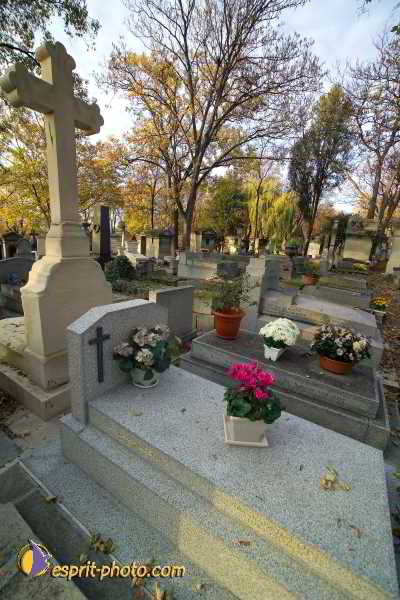 Nom de l'image : D1192G018-1 — Description :  Cimetière Père Lachaise