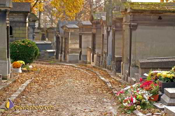 Nom de l'image : D1194024-2 — Description :  Cimetière Père Lachaise