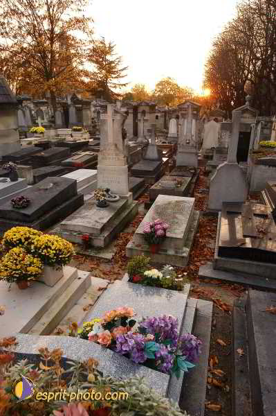 Nom de l'image : D1194092-1 — Description :  Cimetière Père Lachaise