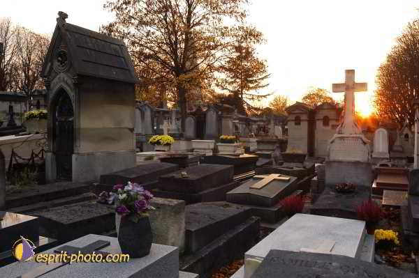 Nom de l'image : D1194112-1 — Description :  Cimetière Père Lachaise